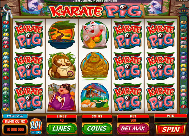 Karate Pig flash player